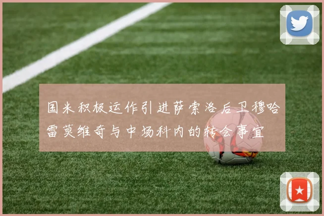 国米积极运作引进萨索洛后卫穆哈雷莫维奇与中场科内的转会事宜
